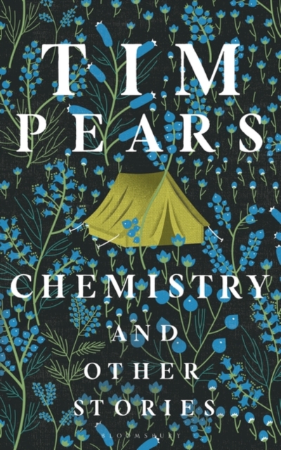 Chemistry and Other Stories by Tim Pears