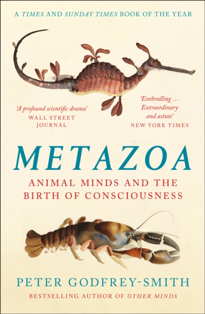 Metazoa by Peter Godfrey-Smith