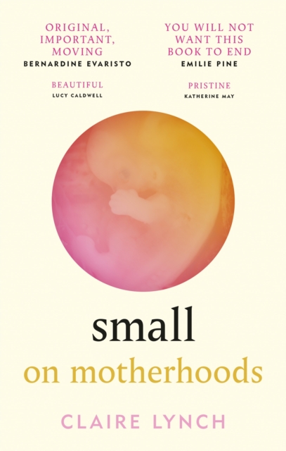 Small: on motherhoods | Talks and Events at the Marlow Bookshop